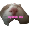 uyudun mu
