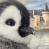 Pingüino cute🐧 21