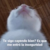 Te sigo cayendo bien? Es que me entró la inseguridad