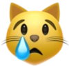 Emoji iphone 30
