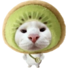Miaw miaw 1 5