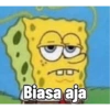 Biasa aja