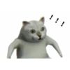 Kucing kucingan 13