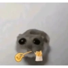 Hamsters randoms 7