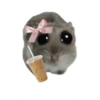 Hamster 16