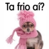 Memes frio 🥶 11