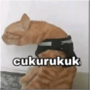 Meme kucing 1 15