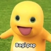Bagi pap