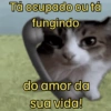 Cantadas discretas🙈⚘️ 8