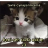 tavla oynayalim ama @miawlabakim beni sen tavla askim <3 1/2