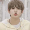 Heeseung/Enhypen  8
