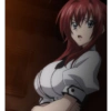 Rias Gremory... 15