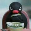 PINGU 13