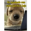 PARA WHATSAPP  7