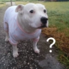 ?