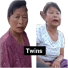 Twins
