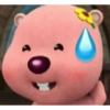 Loopy pororo meme 23