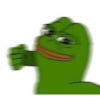 Kedi 24