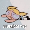 MI PERÍODO Y YO