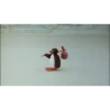 Pinguino nojado 8