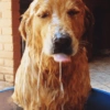 Bixins com calor 🥵 7