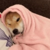 Reações frio 🥶 6
