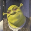 Shrek 9