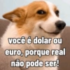 você é dolar ou euro, porque real não pode ser!