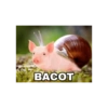 Meme random 16