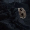 Hamsters randoms 18