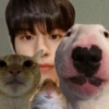 Kpop 4? 11