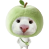 Miaw miaw 1 18