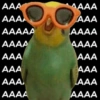 AAA AAAA AAA AAA AAAAA AAAA AAAA AAAA AAA AAA AAA AAA AAA AAA AAAA AAAA