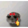 Hamsters randoms 5