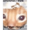 Sometimes I think but then i forget