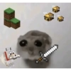Hamsters randoms 15