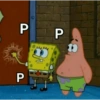 P P 13 P
