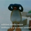 REAÇÕES DO PINGU 14