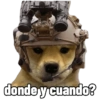 Perritos tácticos 🔥 16