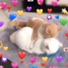 💞💖 AMOR 2 💖💞 10