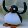 PINGU 12