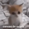 cansao de existir