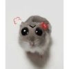 Hamster 18