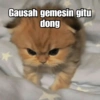 Gausah gemesin gitu dong
