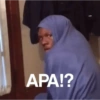 APA!?