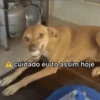 Figurinhas da GABI 23