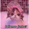Novo ano novo stikitos 29