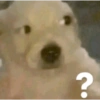 ?