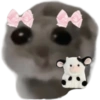 Mariamurax 19