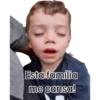 Pets 16